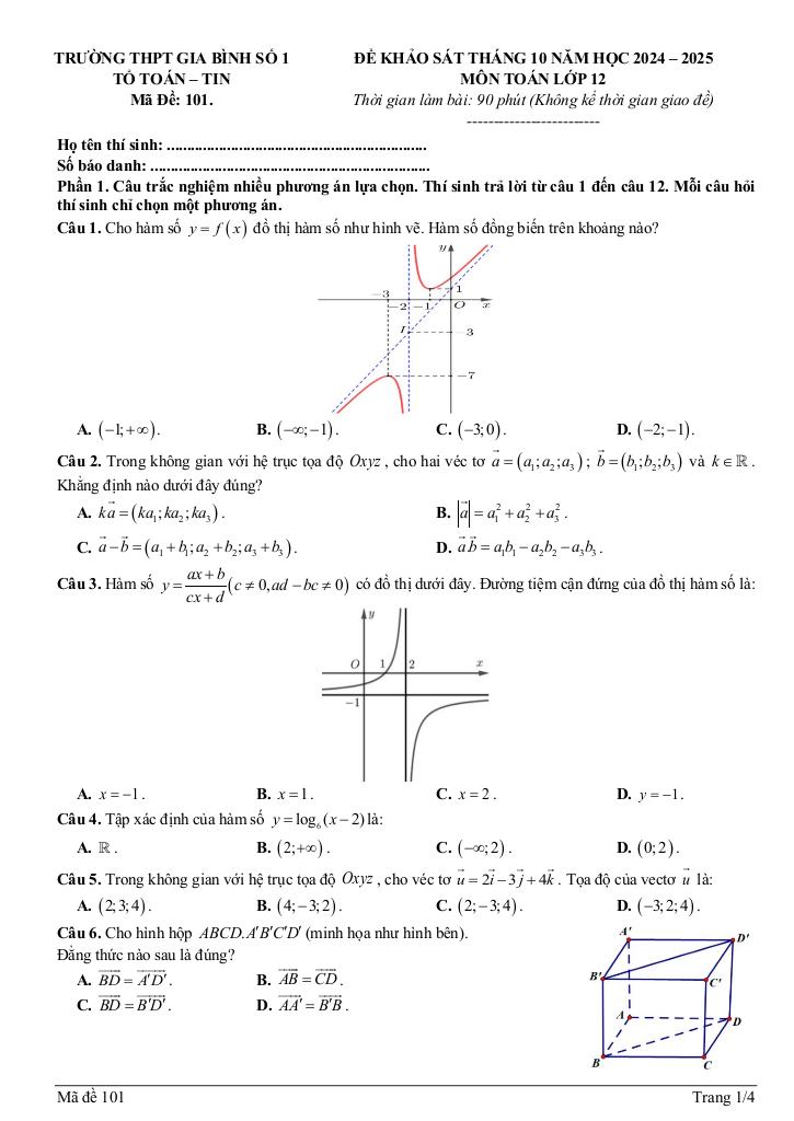 images-post/de-khao-sat-thang-10-toan-12-nam-2024-2025-truong-thpt-gia-binh-1-bac-ninh-1.jpg
