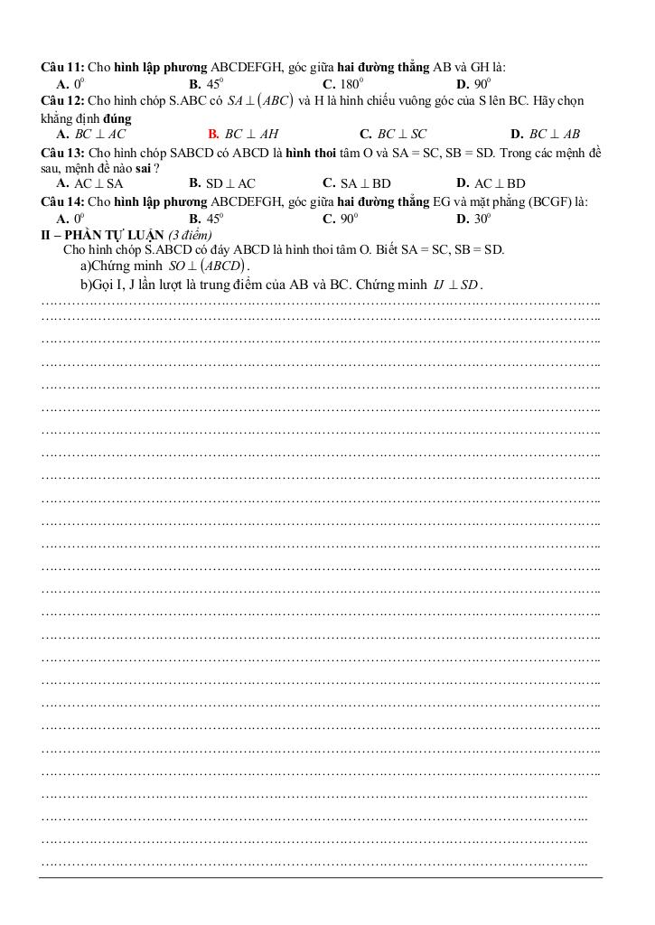 images-post/de-kiem-tra-1-tiet-hinh-hoc-11-chuong-3-quan-he-vuong-goc-truong-duong-an-hai-duong-2.jpg