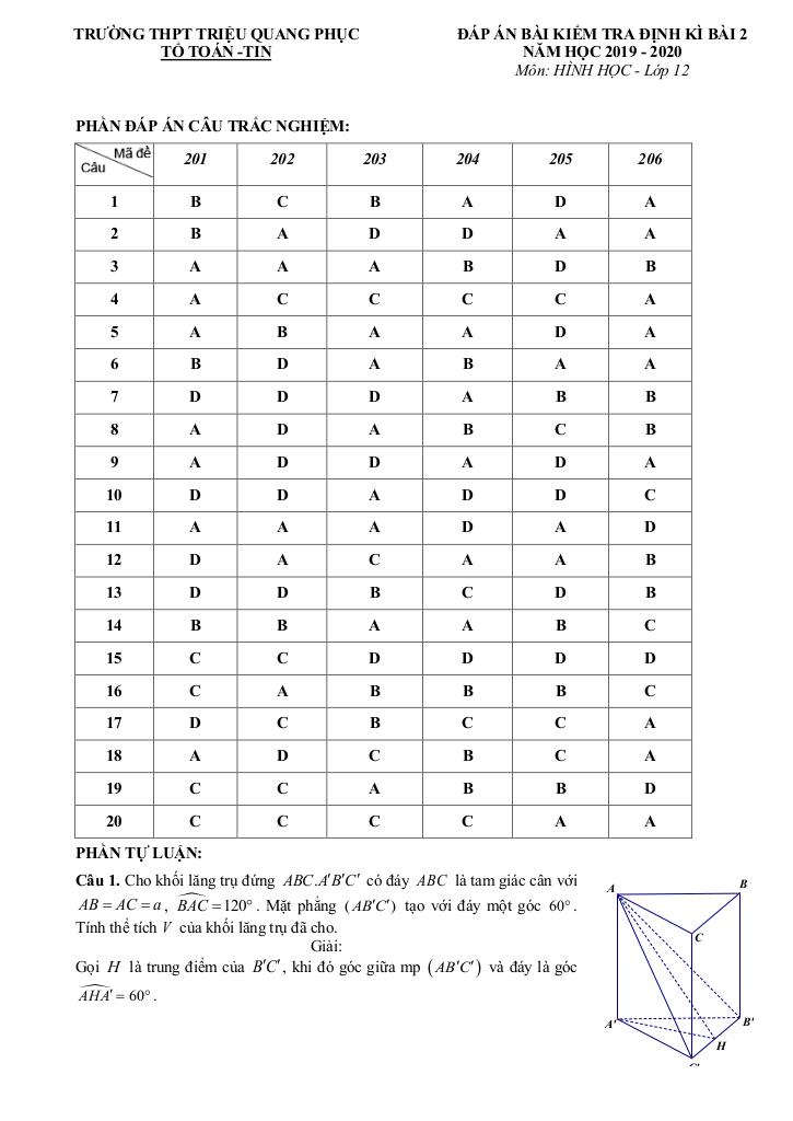 images-post/de-kiem-tra-hinh-hoc-12-chuong-1-nam-2019-2020-truong-trieu-quang-phuc-hung-yen-4.jpg