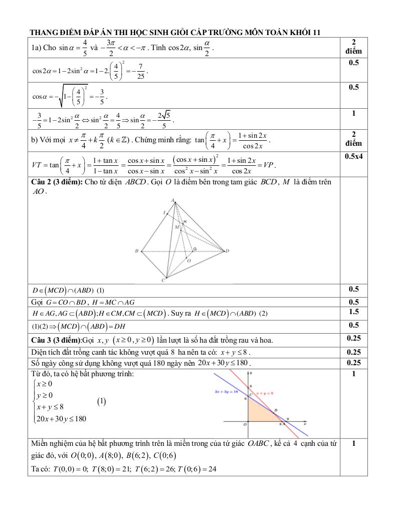 images-post/de-thi-hoc-sinh-gioi-toan-11-nam-2024-2025-truong-thpt-binh-chieu-tp-hcm-3.jpg