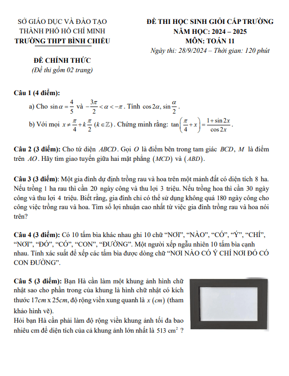 đề thi học sinh giỏi toán 11 năm 2024 – 2025 trường thpt bình chiểu – tp hcm